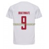 Original Fußballtrikot Dänemark Martin Braithwaite 9 Auswärtstrikot WM 2022 Für Herren